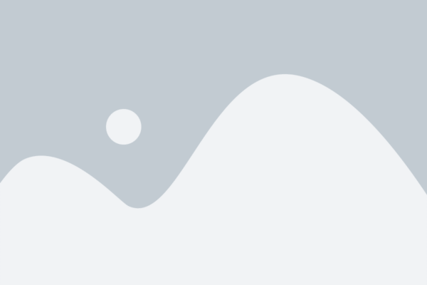 Product Title