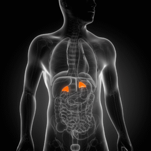 Adrenal Health Support